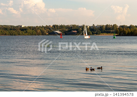 Sailboat glides across calm lake waters. Ducks swim near foreground, enjoying the surface. Trees line distant shore under partly cloudy sky. Vibrant buoy floats near sailboat, adding contrast Sailboat glides across calm lake waters. Ducks swim near foreground, enjoying the surface. Trees line distant shore under partly cloudy sky. Vibrant buoy floats near sailboat, adding contrast 141394578