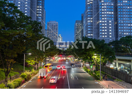 東京都庁を望む新宿副都心の夜景 東京都庁を望む新宿副都心の夜景 141394697