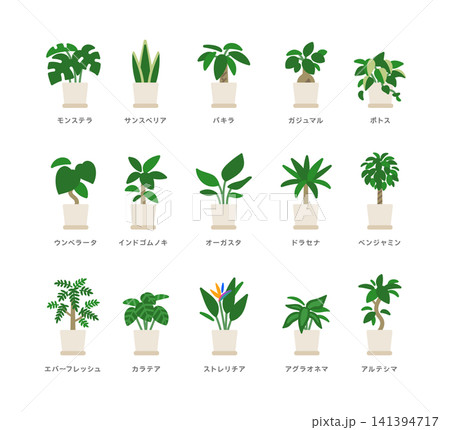シンプルな観葉植物イラストセット 141394717