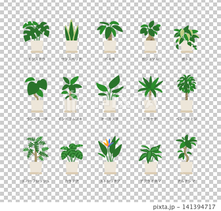 シンプルな観葉植物イラストセット 141394717