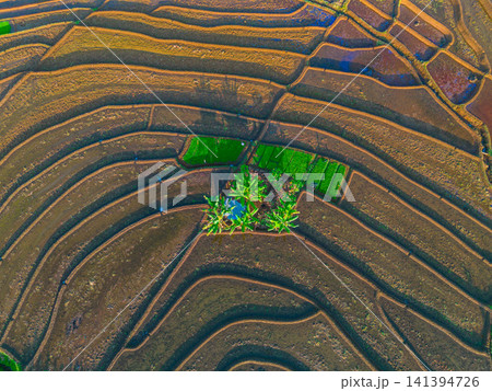 Aerial view of the lush Tegalalang landscape featuring a winding river flowing through dense tropical forest and terraced fields in Indonesia Aerial view of the lush Tegalalang landscape featuring a winding river flowing through dense tropical forest and terraced fields in Indonesia 141394726