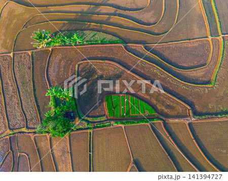 Aerial view of the lush Tegalalang landscape featuring a winding river flowing through dense tropical forest and terraced fields in Indonesia Aerial view of the lush Tegalalang landscape featuring a winding river flowing through dense tropical forest and terraced fields in Indonesia 141394727