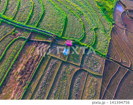 Aerial view of the lush Tegalalang landscape featuring a winding river flowing through dense tropical forest and terraced fields in Indonesia Aerial view of the lush Tegalalang landscape featuring a winding river flowing through dense tropical forest and terraced fields in Indonesia 141394756