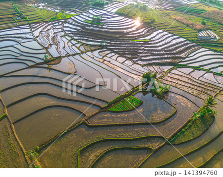 Aerial view of the lush Tegalalang landscape featuring a winding river flowing through dense tropical forest and terraced fields in Indonesia 141394760