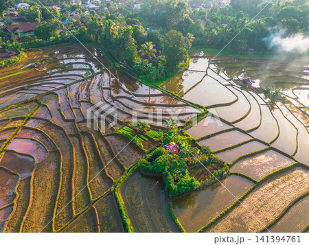 Aerial view of the lush Tegalalang landscape featuring a winding river flowing through dense tropical forest and terraced fields in Indonesia Aerial view of the lush Tegalalang landscape featuring a winding river flowing through dense tropical forest and terraced fields in Indonesia 141394761