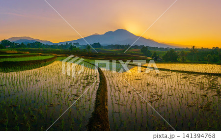 Aerial view of the lush Tegalalang landscape featuring a winding river flowing through dense tropical forest and terraced fields in Indonesia Aerial view of the lush Tegalalang landscape featuring a winding river flowing through dense tropical forest and terraced fields in Indonesia 141394768