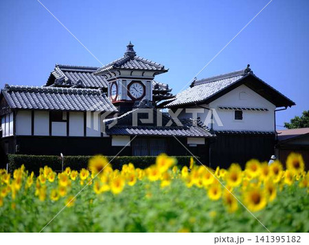 野良時計　ひまわり 141395182