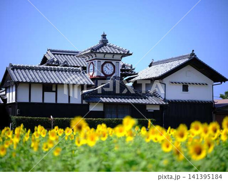野良時計 ひまわり 野良時計 ひまわり 141395184