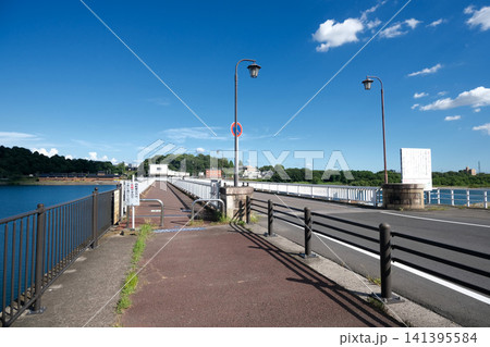 岐阜県各務原市_ライン大橋4_2025年7月 岐阜県各務原市_ライン大橋4_2025年7月 141395584