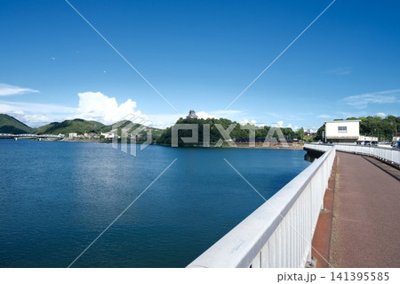 岐阜県各務原市_ライン大橋5_2025年7月 岐阜県各務原市_ライン大橋5_2025年7月 141395585