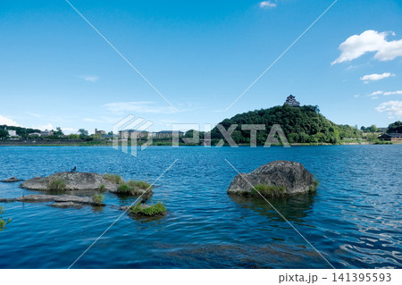 岐阜県各務原市_木曽川河畔遊歩道から犬山城7_2025年7月 岐阜県各務原市_木曽川河畔遊歩道から犬山城7_2025年7月 141395593