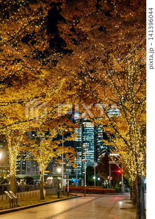 夜のイルミネーションに輝く紅葉並木の都市風景 141396044