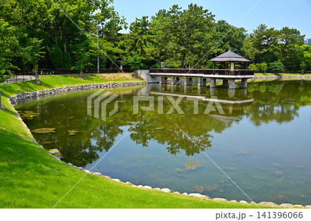 名古屋市鶴舞公園の竜ヶ池 新緑に包まれた浮見堂を映す水鏡1 名古屋市鶴舞公園の竜ヶ池 新緑に包まれた浮見堂を映す水鏡1 141396066