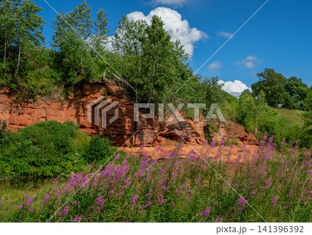 Beautiful landscape with red sandstone cliffs, green trees and pink fireweed flowers by the river. Beautiful landscape with red sandstone cliffs, green trees and pink fireweed flowers by the river. 141396392