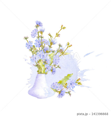Hand drawn watercolor square composition with a bouquet of chicory flowers in a purple vase on an isolated background with watercolor stain. Simple clipart of summer botanical card with flowers. 141396668