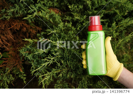 Blank green plastic chemical spray bottle for coniferous plant care advertisement layout 141396774