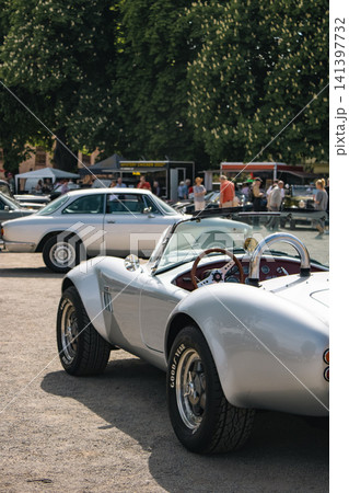Silver Shelby Cobra Roadster at Classic Car Show 141397732
