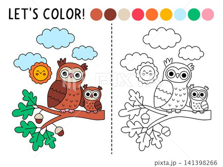 Forest coloring page with mama owl sitting on oak tree with baby owlet. Vector wild bird illustration. Color book with colored example. Drawing printable worksheet with line woodland animal 141398266