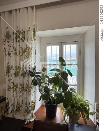 Indoor plants by window with patterned curtains on sunny day creating serene atmosphere Indoor plants by window with patterned curtains on sunny day creating serene atmosphere 141398292