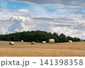 Field with rolls of hay 141398358