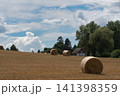 Field with rolls of hay 141398359