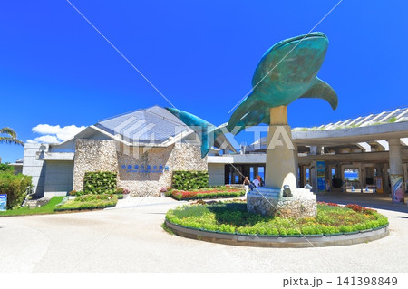 【沖縄県】快晴の沖縄美ら海水族館(沖縄海洋博公園) 【沖縄県】快晴の沖縄美ら海水族館(沖縄海洋博公園) 141398849