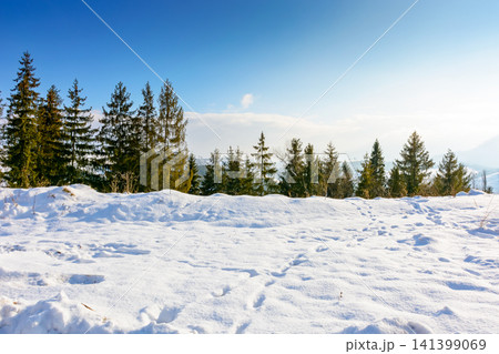 carpathian mountain landscape in winter. spruce forest on the snow covered hill. mountain scenery of ukraine on a cold sunny day. transcarpathia region carpathian mountain landscape in winter. spruce forest on the snow covered hill. mountain scenery of ukraine on a cold sunny day. transcarpathia region 141399069