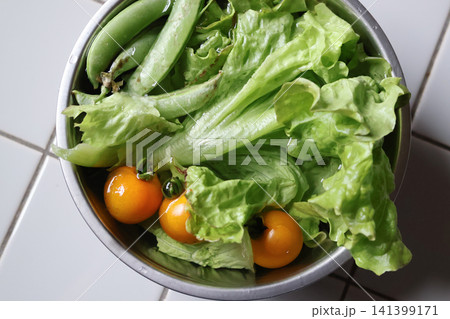 緑の野菜 緑の野菜 141399171