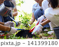 Young adults volunteer planting trees in the park for environmental conservation and sustainable future. Community service, reforestation, nature care and teamwork concept. 141399180