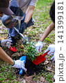 Young adults volunteer planting trees in the park for environmental conservation and sustainable future. Community service, reforestation, nature care and teamwork concept. 141399181