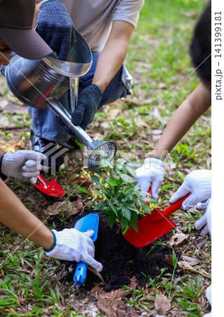 Young adults volunteer planting trees in the park for environmental conservation and sustainable future. Community service, reforestation, nature care and teamwork concept. 141399181