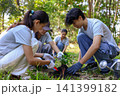 Young adults volunteer planting trees in the park for environmental conservation and sustainable future. Community service, reforestation, nature care and teamwork concept. 141399182