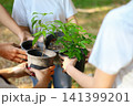 People hand holding trees in pot before planting for environmental conservation and sustainable future. Community service, reforestation, nature care and teamwork concept. 141399201