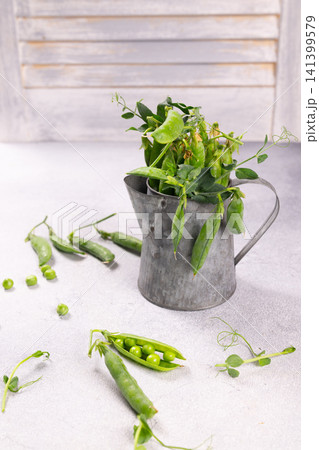 Fresh green pea pods and sprouts in a rustic jug Fresh green pea pods and sprouts in a rustic jug 141399579