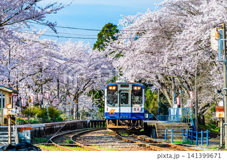 のと鉄道　桜満開の能登鹿島駅 141399671