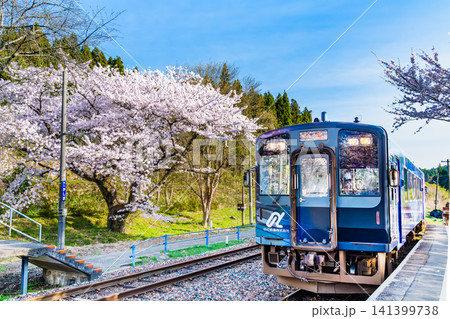 のと鉄道　桜満開の能登鹿島駅 141399738