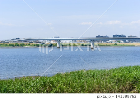 千葉県市川市江戸川河口付近2026年7月 141399762