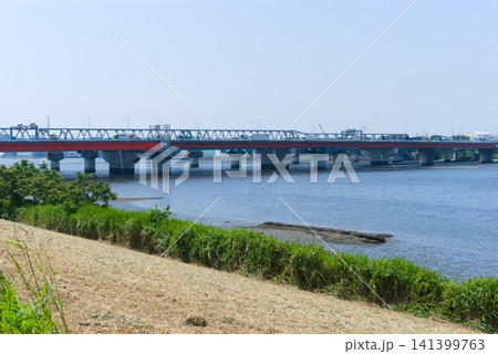 千葉県市川市江戸川河口付近2026年7月 141399763