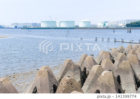 千葉県市川市江戸川河口付近2026年7月 千葉県市川市江戸川河口付近2026年7月 141399774