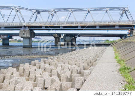 千葉県市川市江戸川河口付近2026年7月 千葉県市川市江戸川河口付近2026年7月 141399777