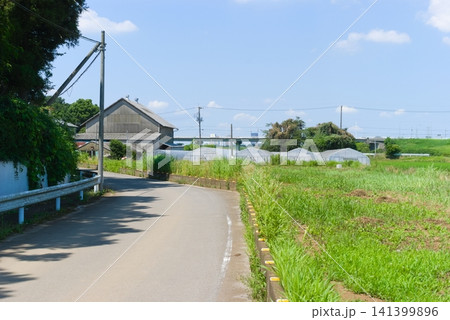 千葉県柏市布施弁天周辺2026年7月 千葉県柏市布施弁天周辺2026年7月 141399896