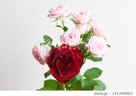 薔薇とガーベラ 薔薇とガーベラ 141399903