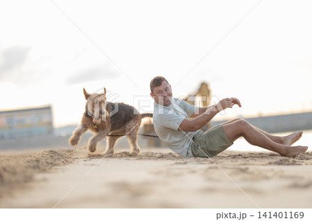 Man in gray t-shirt and shorts sits on sandy beach while brown dog runs playfully on leash, with distant structures and cloudy sky in the background. Airedale Terrier Man in gray t-shirt and shorts sits on sandy beach while brown dog runs playfully on leash, with distant structures and cloudy sky in the background. Airedale Terrier 141401169