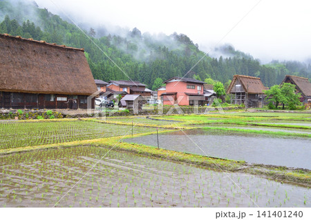 岐阜県大野郡白川村白川郷の風景(2023年雨) 岐阜県大野郡白川村白川郷の風景(2023年雨) 141401240