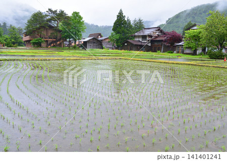 岐阜県大野郡白川村白川郷の風景(2023年雨) 141401241