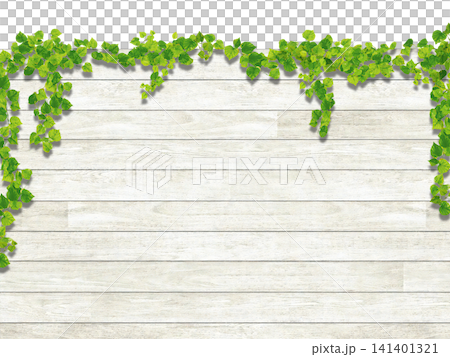 Ivy and white wood wall (side view) Ivy and white wood wall (side view) 141401321