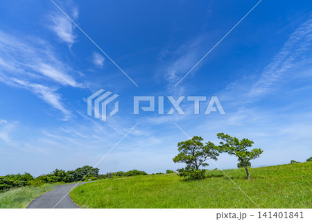 夏の青空と雲と草原 夏の青空と雲と草原 141401841