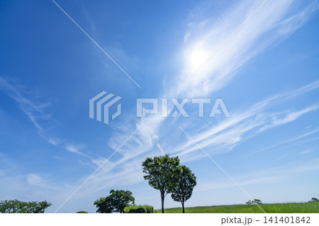 夏の青空と雲と草原 夏の青空と雲と草原 141401842
