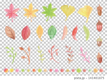 一套以秋季為主題的水彩畫,描繪了各種樹葉和橡實。 一套以秋季為主題的水彩畫,描繪了各種樹葉和橡實。 141401875