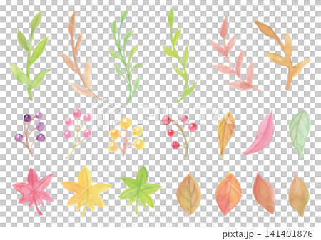 水彩の秋イメージのカラフルな植物と実のセット 水彩の秋イメージのカラフルな植物と実のセット 141401876